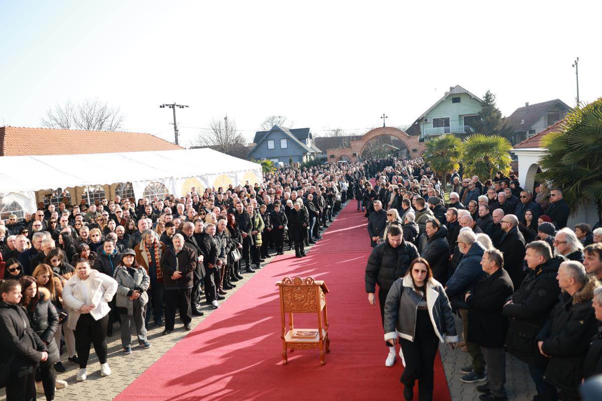 Palma sahrana (5).jpg