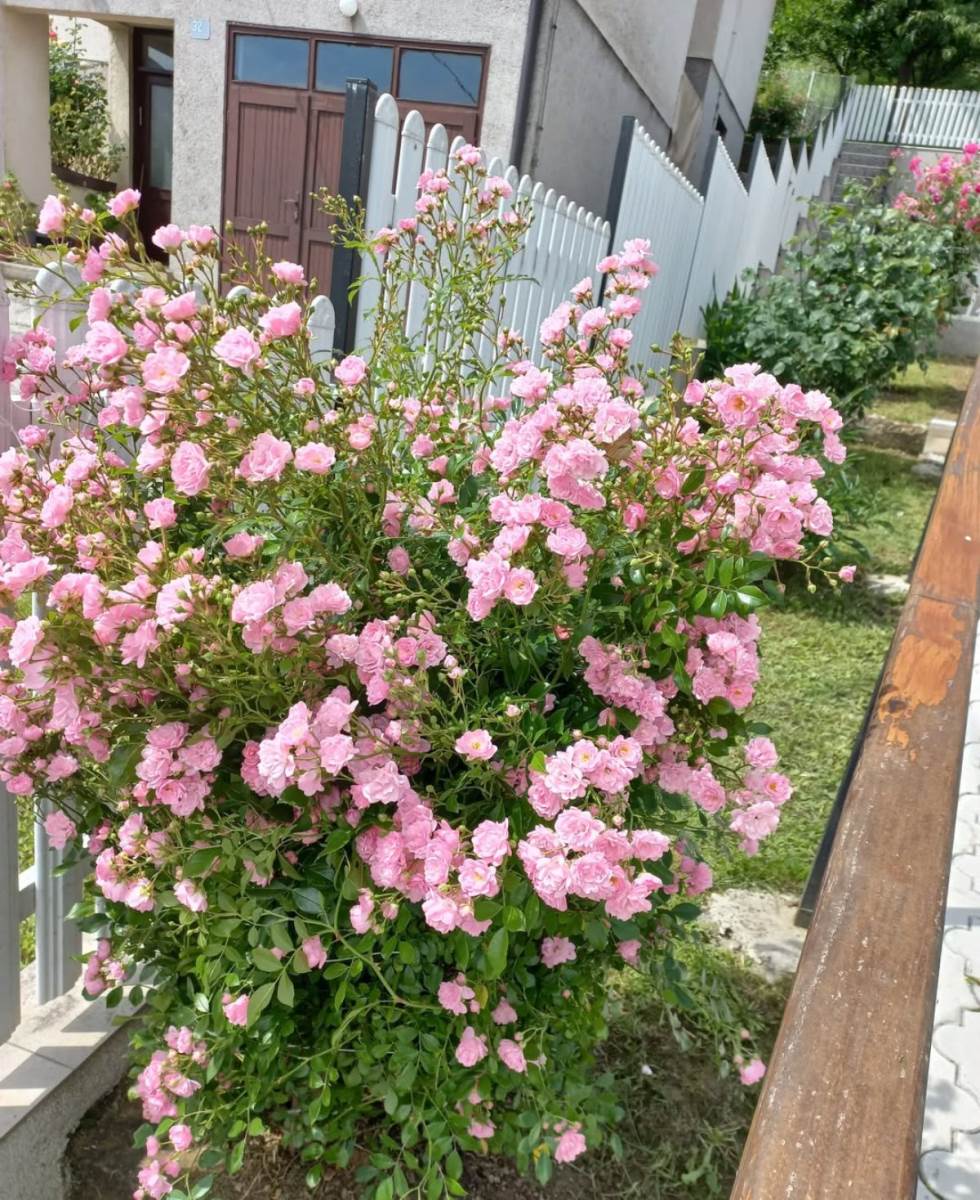 Kuća Željka Joksimovića u Valjevu