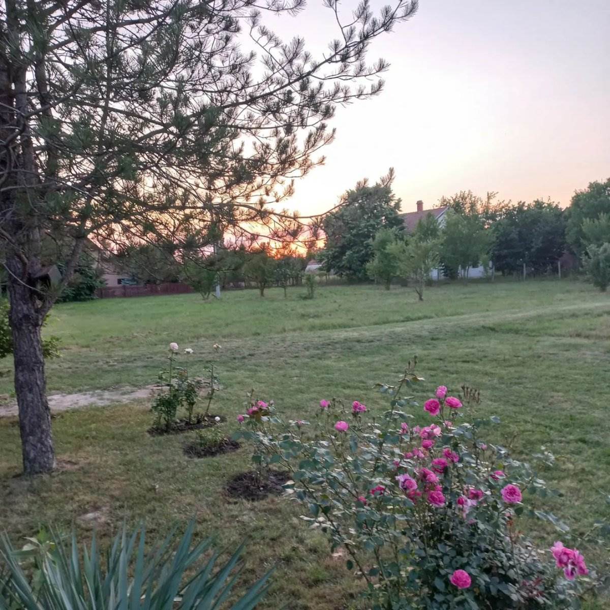 Kuća Željka Joksimovića u Valjevu