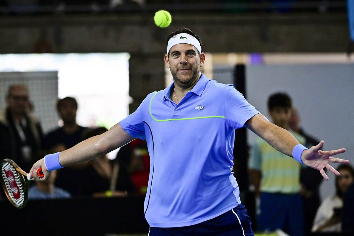 Novak Đoković - Huan Martin del Potro (5).jpg