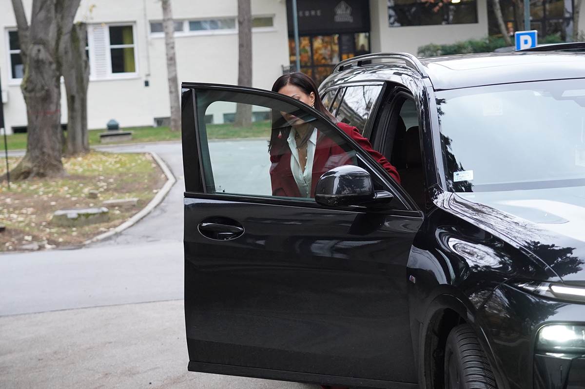 Svetlana Ceca Ražnatović  (4).JPG