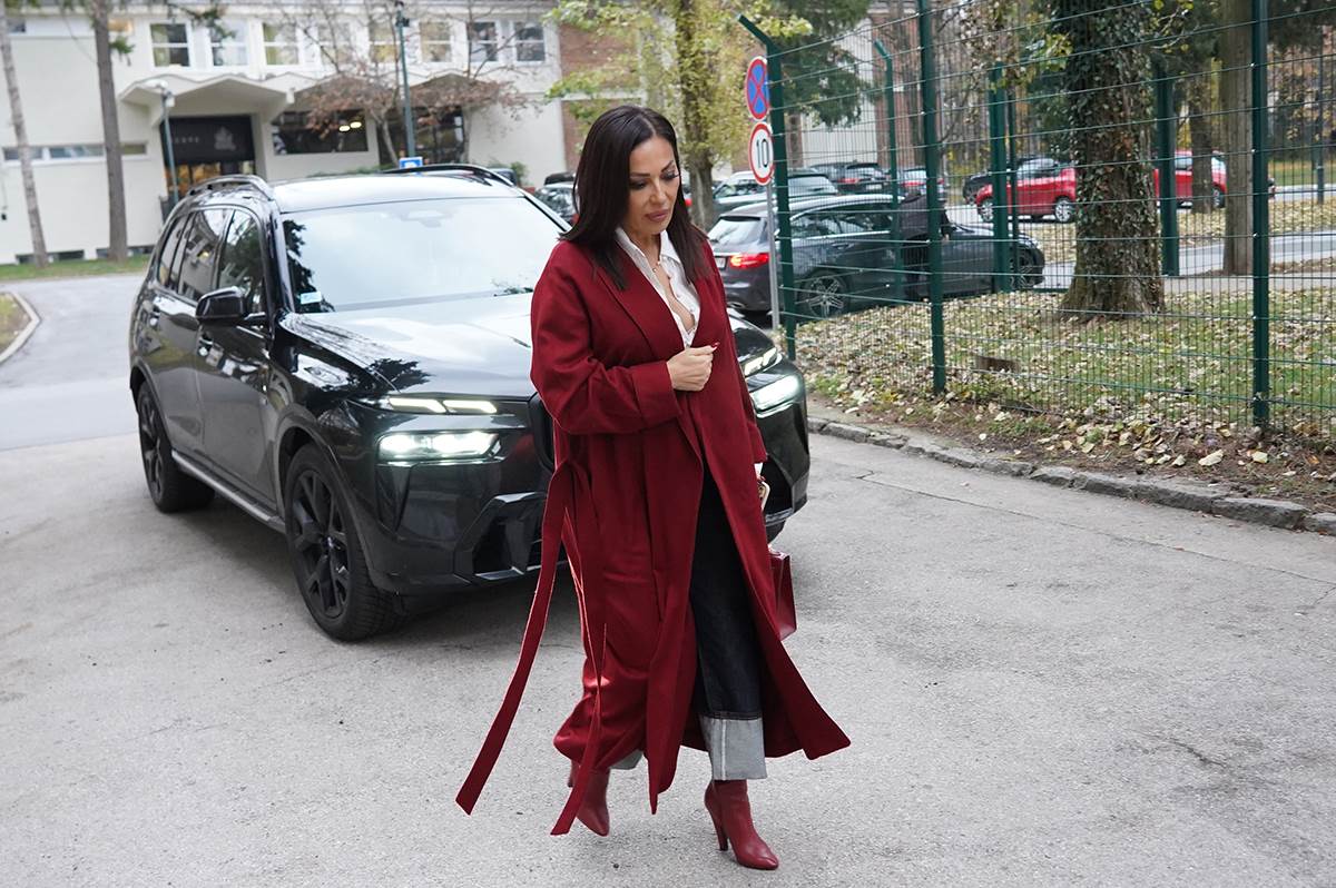 Svetlana Ceca Ražnatović  (6).JPG