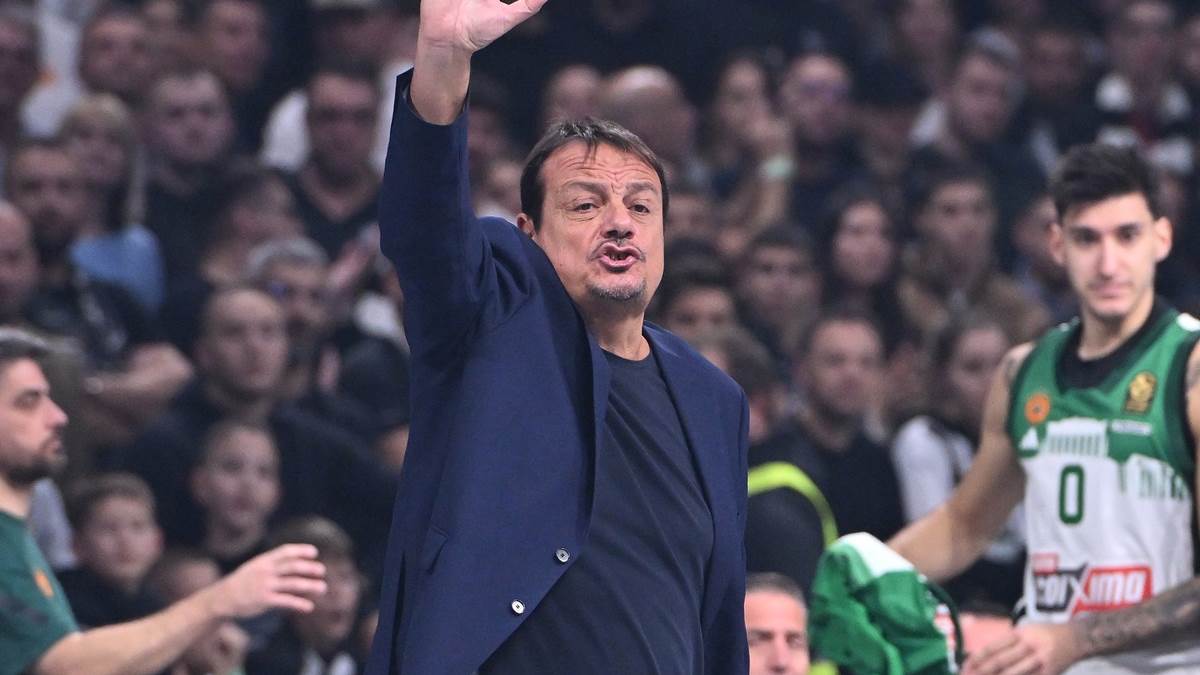 Partizan Panatinaikos (6).JPG