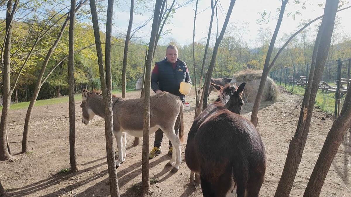 Miloš iz Sisevca (2).jpg