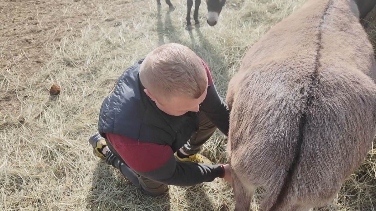 Miloš iz Sisevca (3).jpg