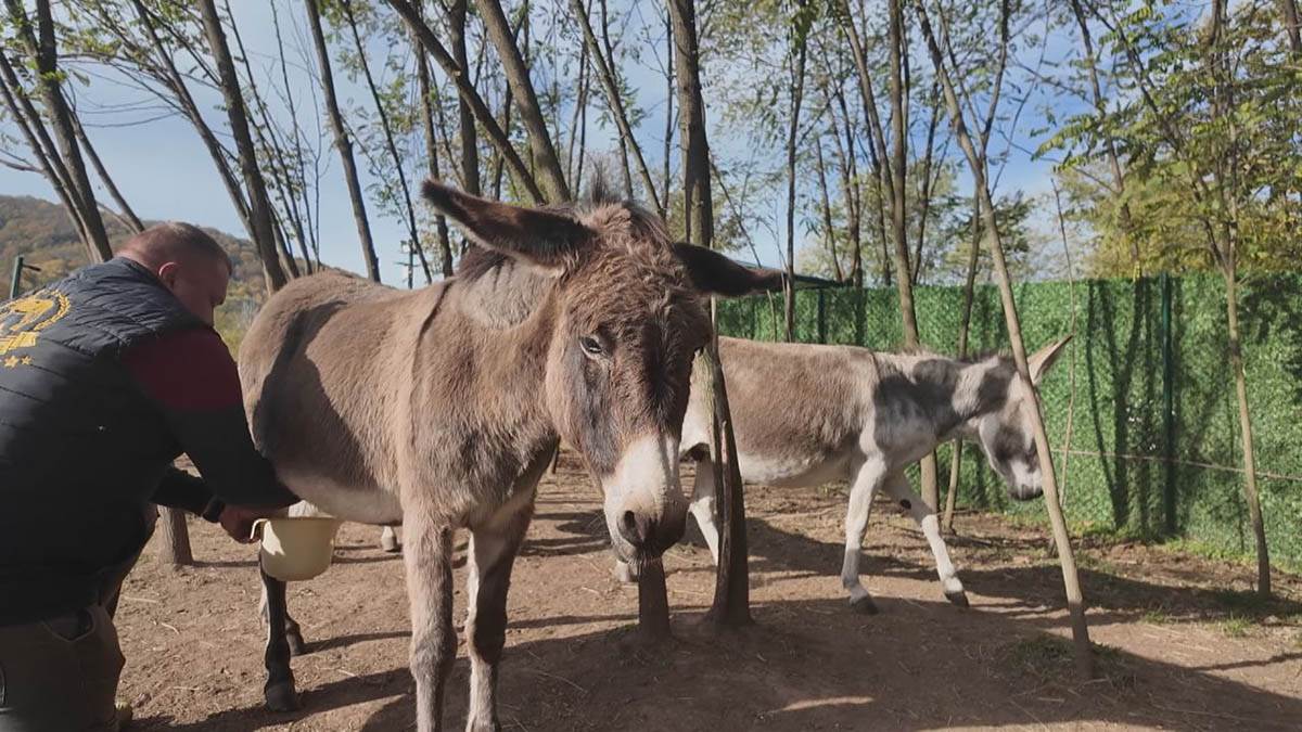 Miloš iz Sisevca (6).jpg