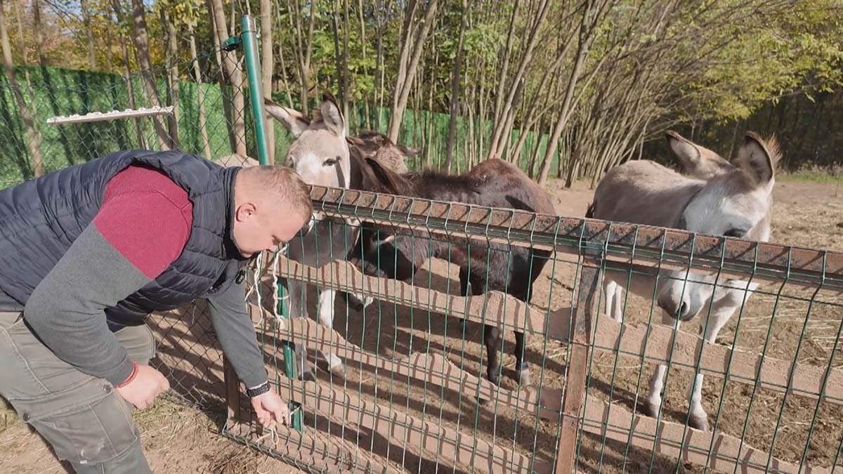 Miloš iz Sisevca (7).jpg