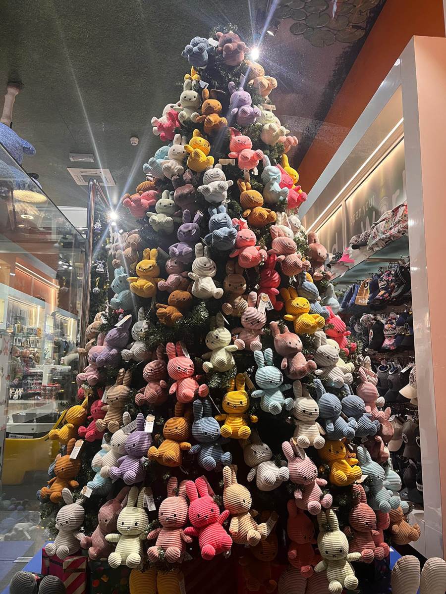 amsterdam, holandija (9).jpg