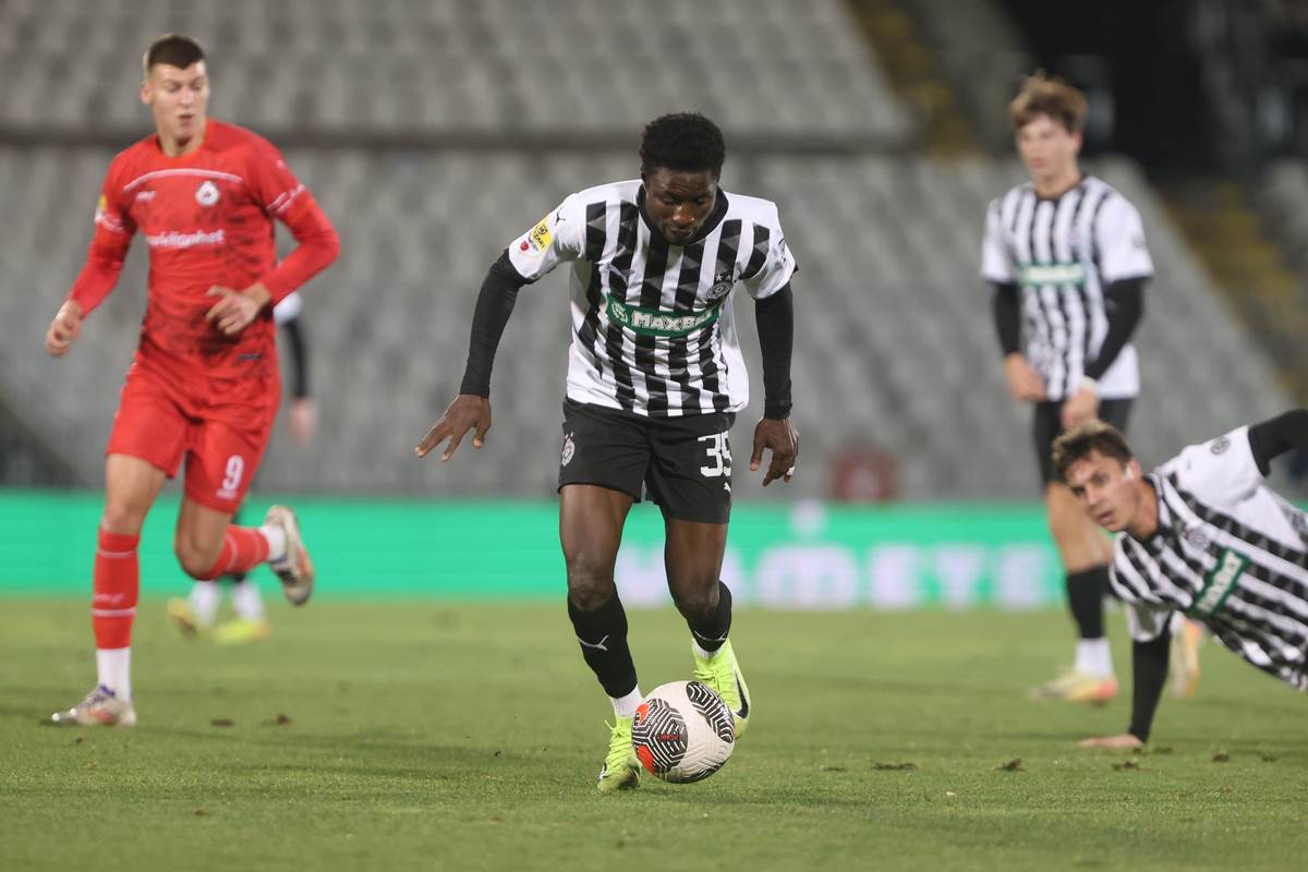 Partizan IMT  (7).JPG