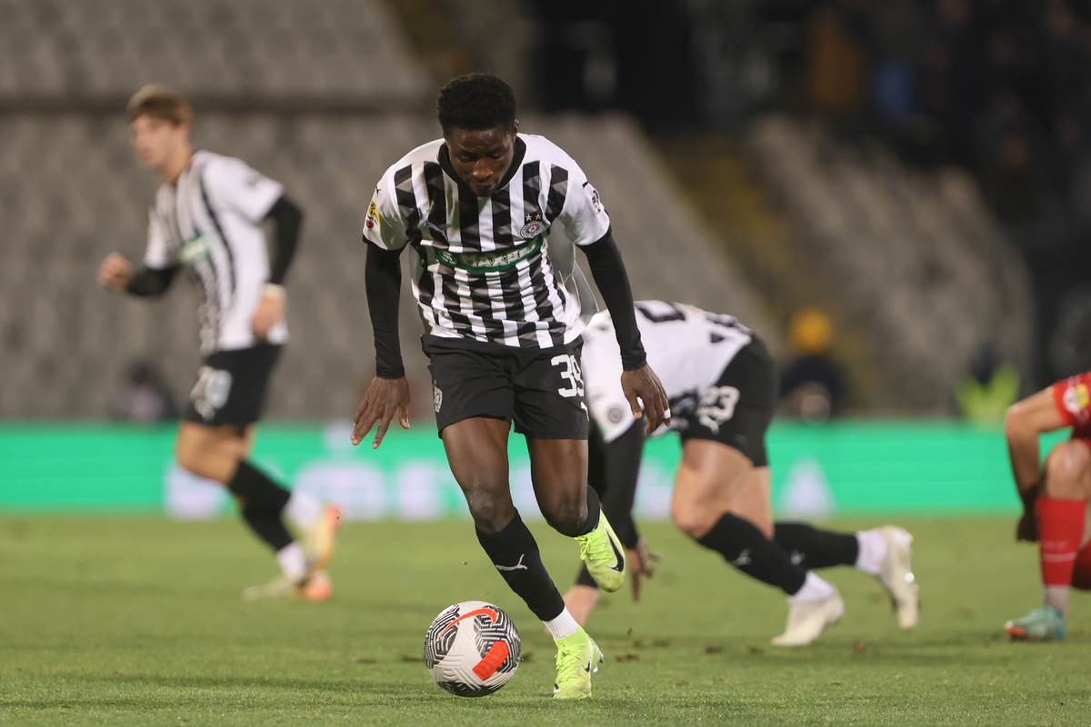 Partizan IMT  (8).JPG