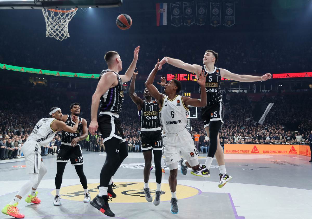 Asvel PARTIZAN (8).JPG