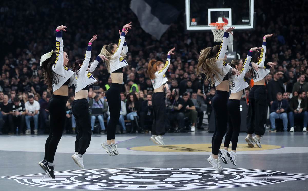 Asvel PARTIZAN (13).JPG