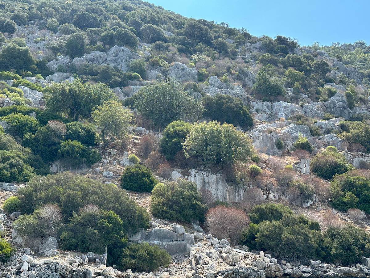 Rusevine i ostaci Mire gde je Nikola rodjen (1).jpg