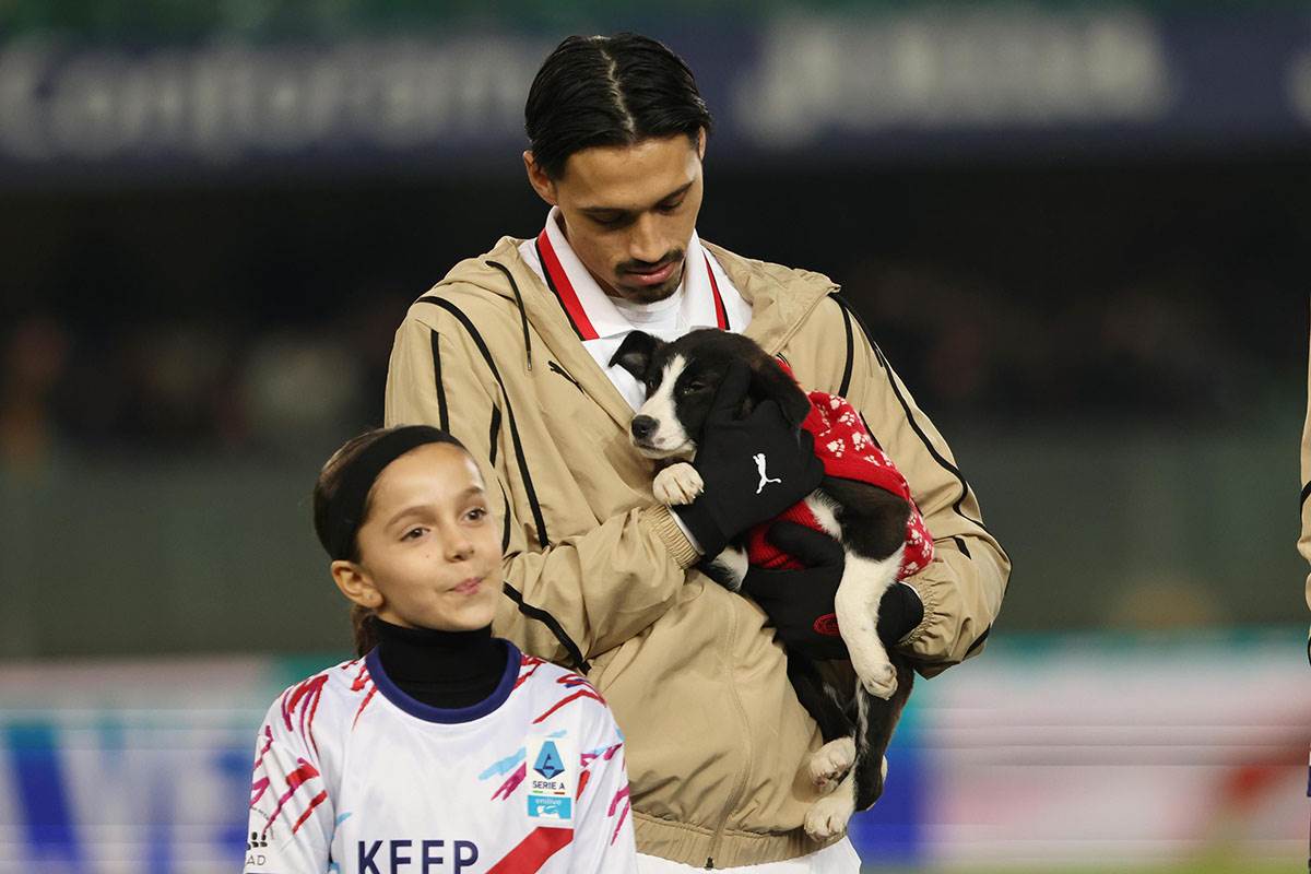 Zlatan Ibrahimović (4).jpg