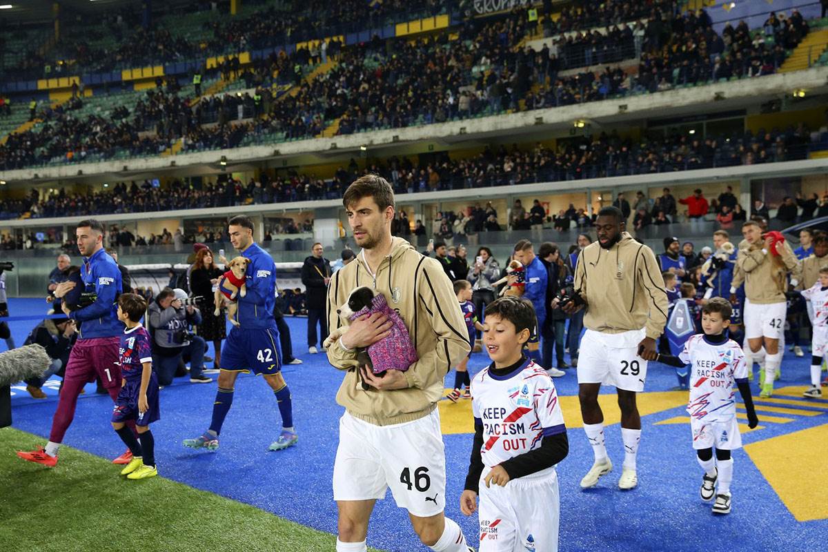 Zlatan Ibrahimović (5).jpg