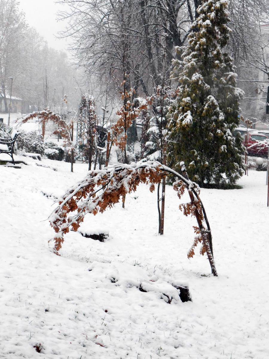 Loznica, sneg  (2).jpg