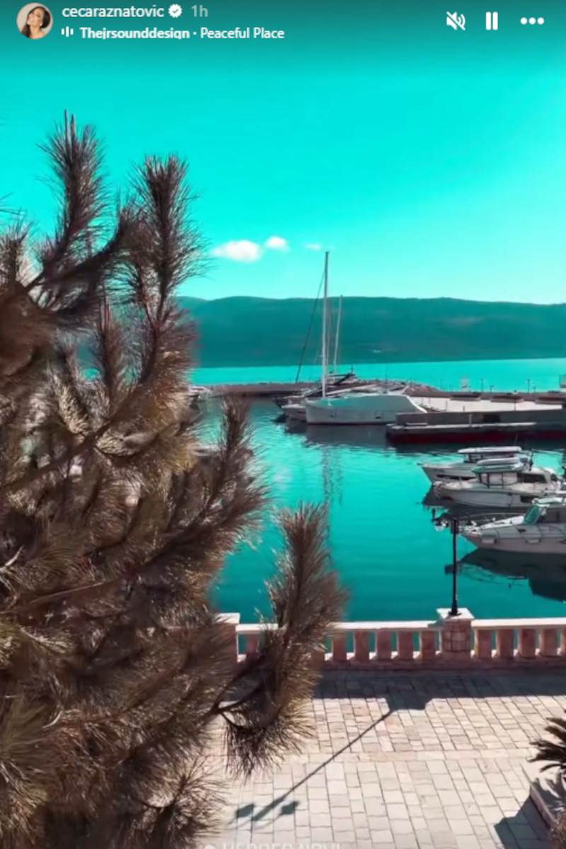 Ceca Ražnatović Herceg Novi.jpg