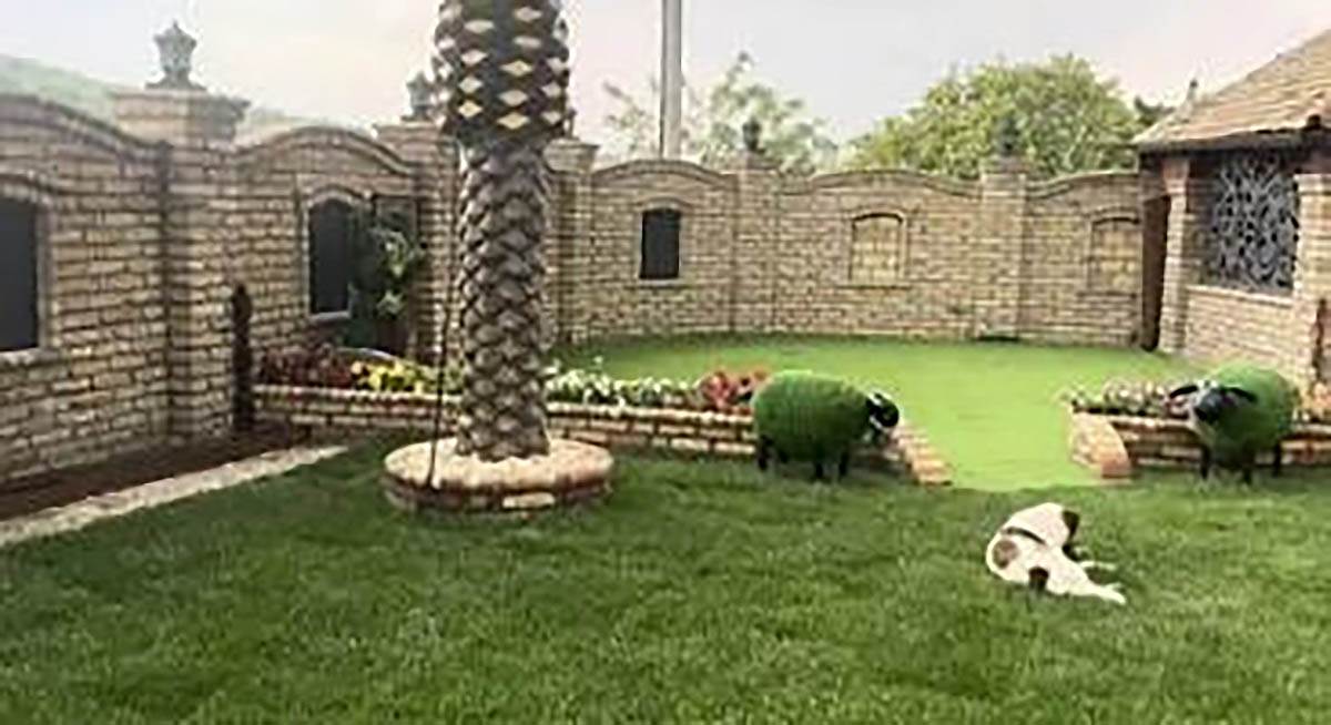 Kuća Aleksandre Subotić (14).jpg