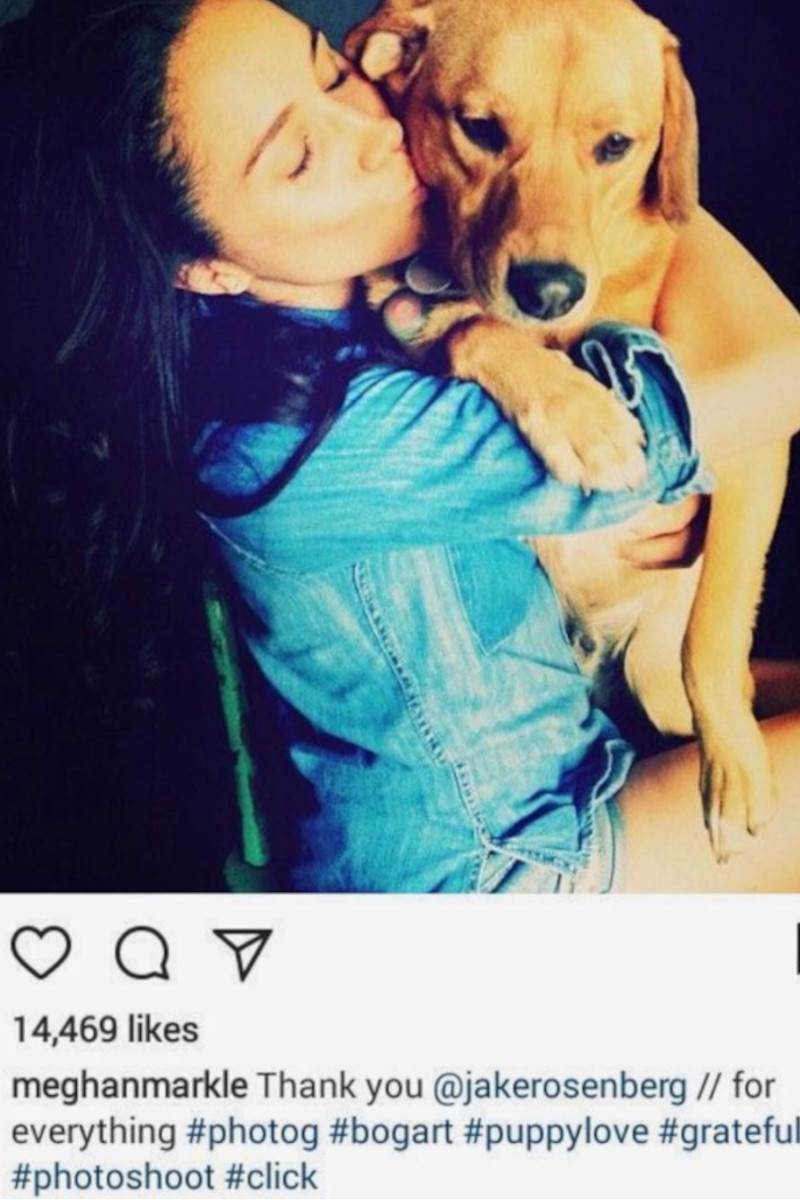 Megan Markle Tig3.jpg