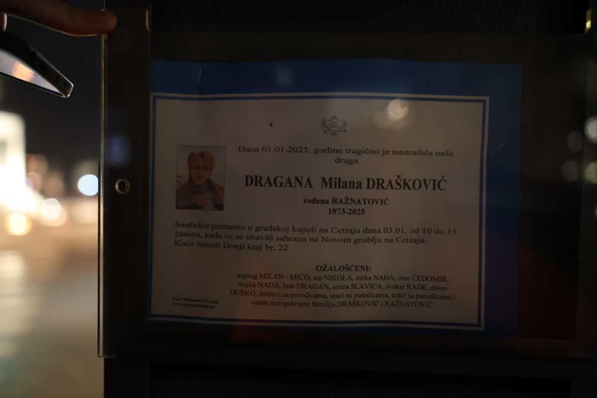 WhatsApp Image 2025-01-02 at 7.41.46 PM.jpeg