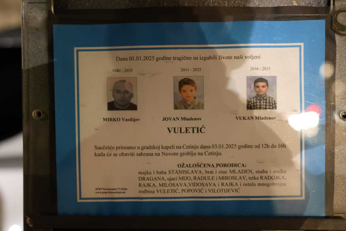 WhatsApp Image 2025-01-02 at 7.41.47 PM.jpeg