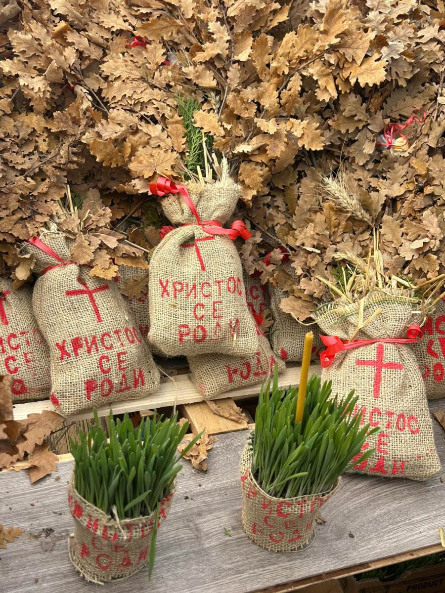 Kalenic pijaca, badnjaci i cene ribe (4).jpg