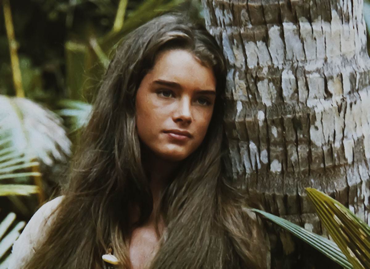 Bruk Šilds  (5).jpg