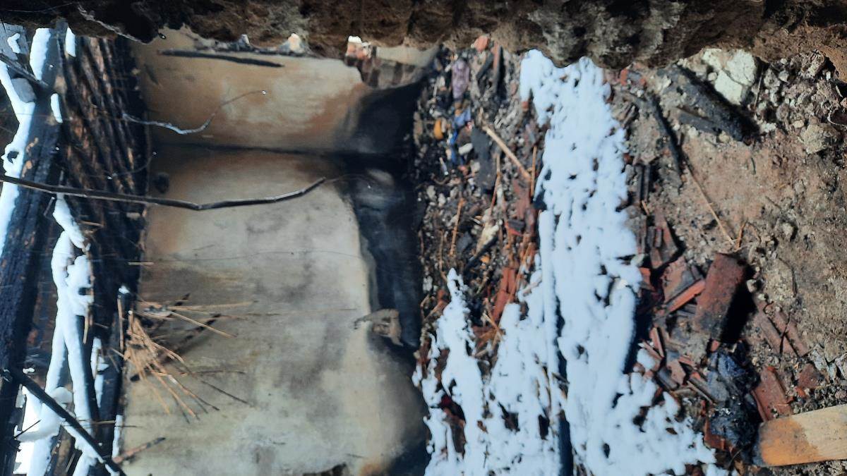 Humanitarna organizacija Verittas (1).jpg