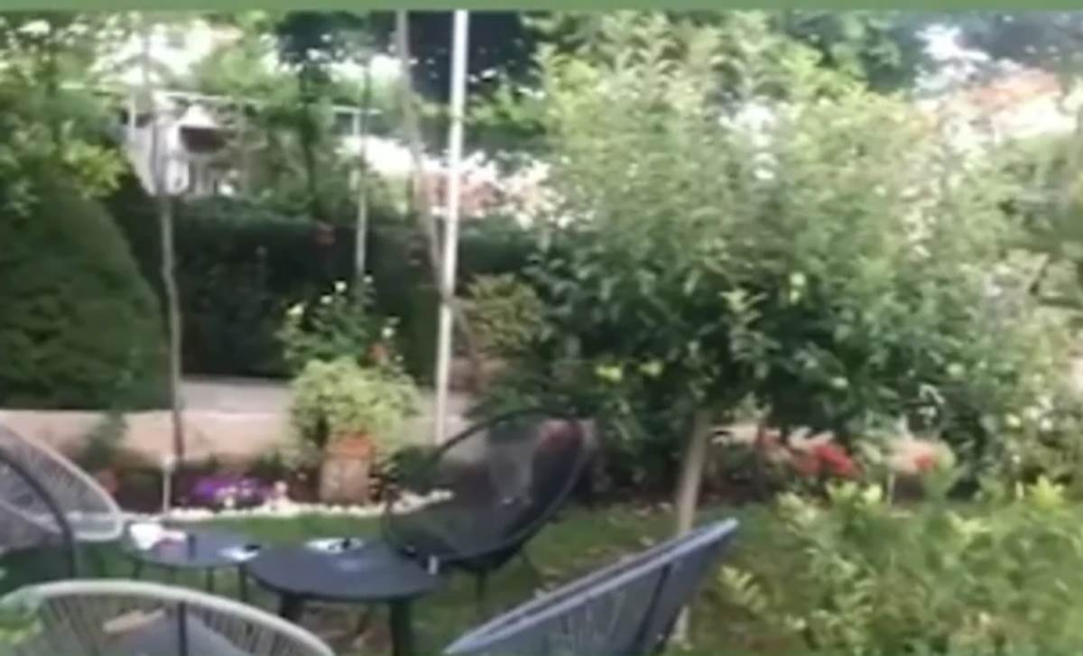 Kako izgleda imanje Nataše Ninković koje je opremila za odmor