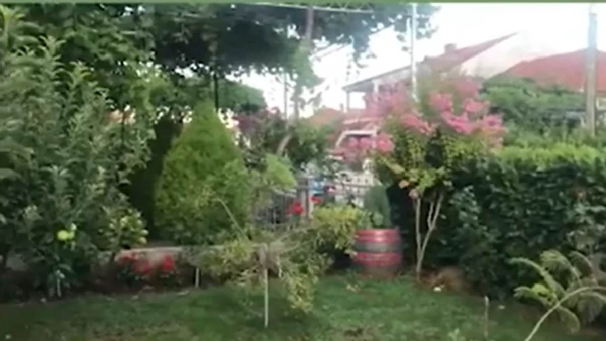 Imanje nataše ninković.jpg