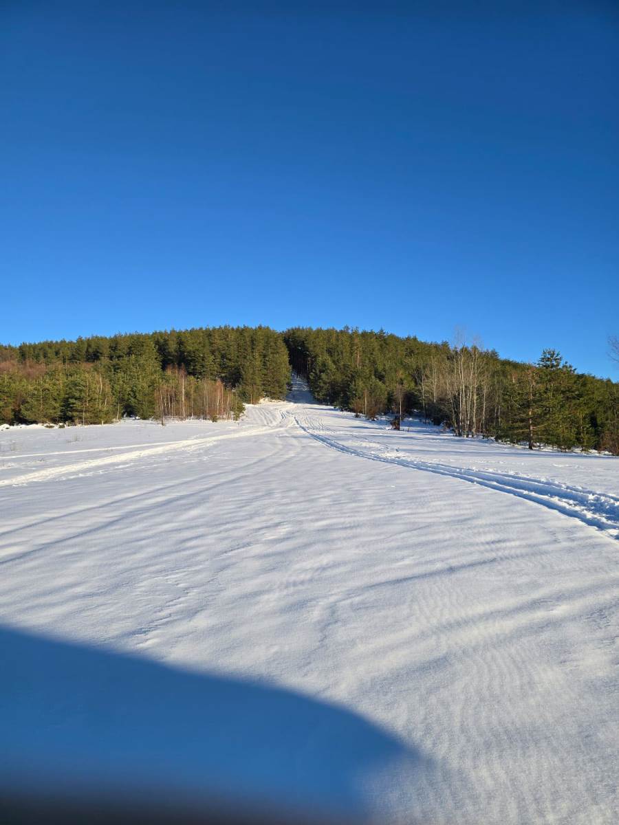 planina Javor (3).jpg