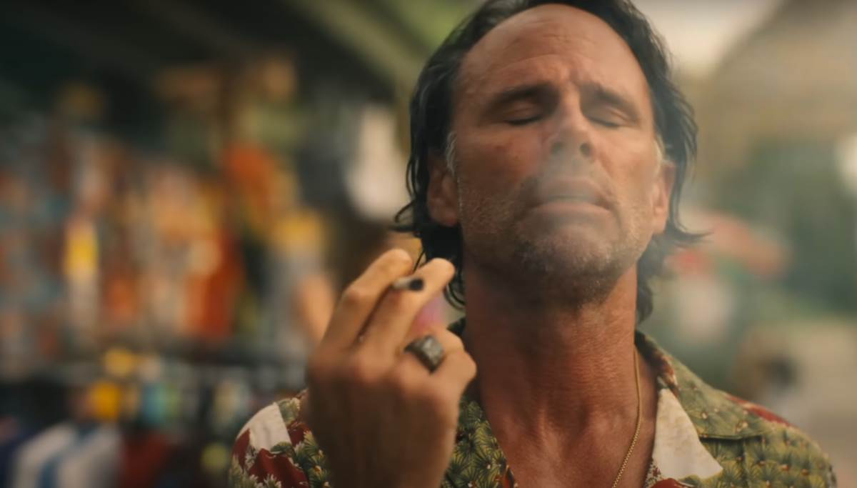 The White Lotus scene