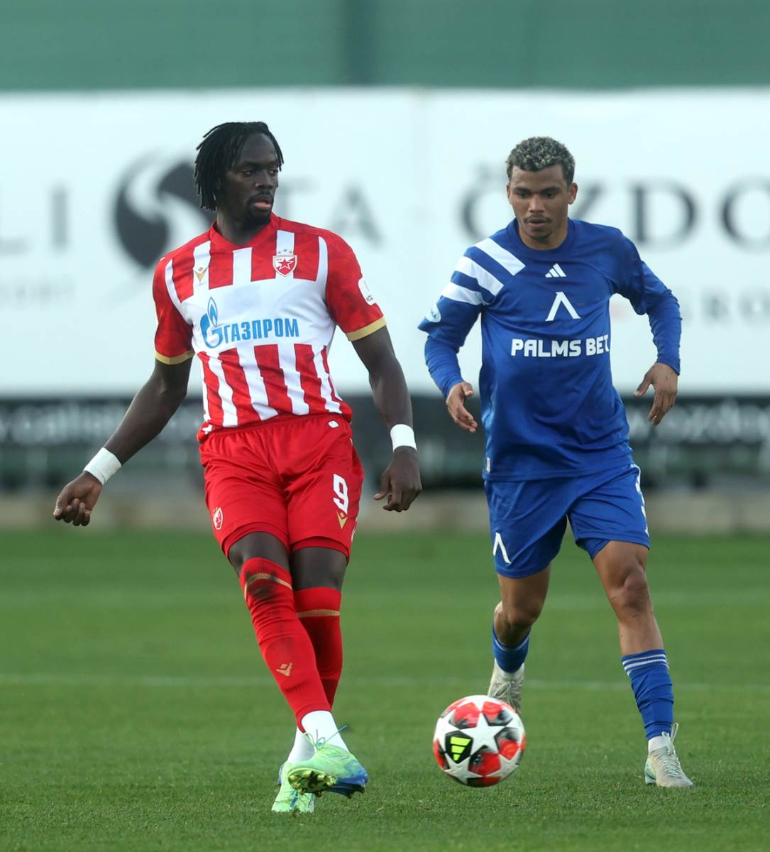 zvezda - ofk beograd (1).jpg