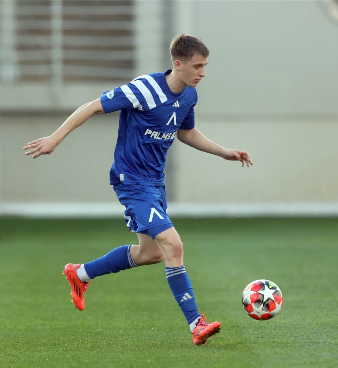 zvezda - ofk beograd (3).jpg