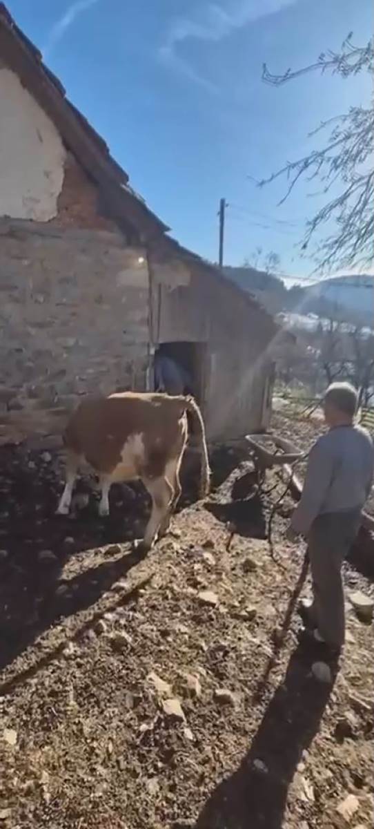 Zoran Bataković (3).jpg