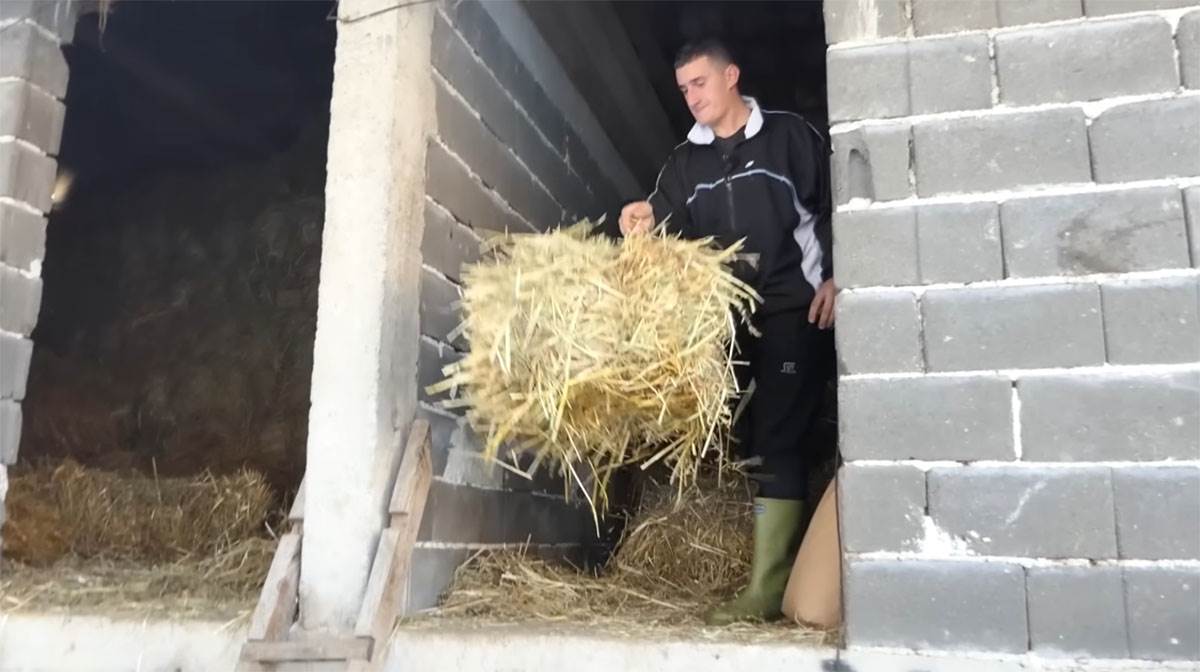 Samin Muslimović (5).jpg