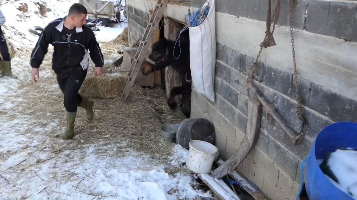 Samin Muslimović (7).jpg