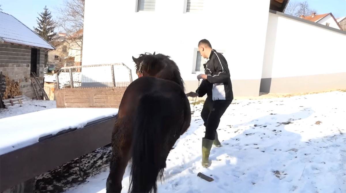 Samin Muslimović (8).jpg