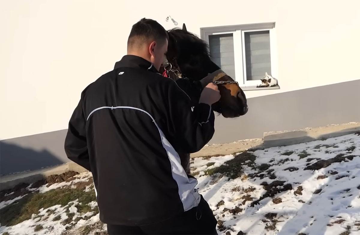 Samin Muslimović (10).jpg