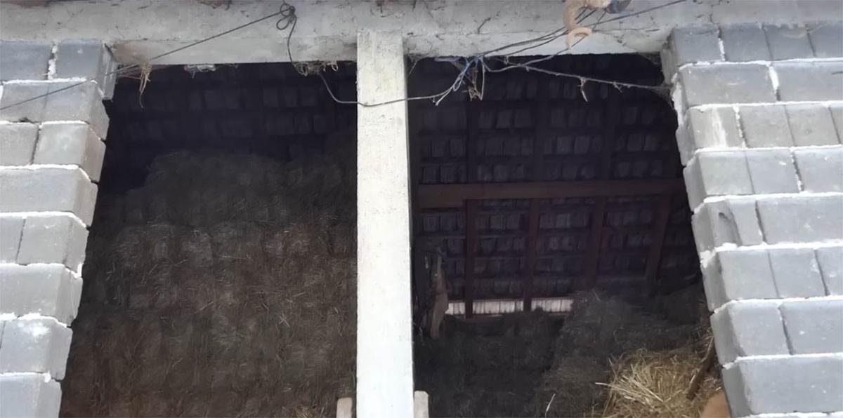 Samin Muslimović (13).jpg