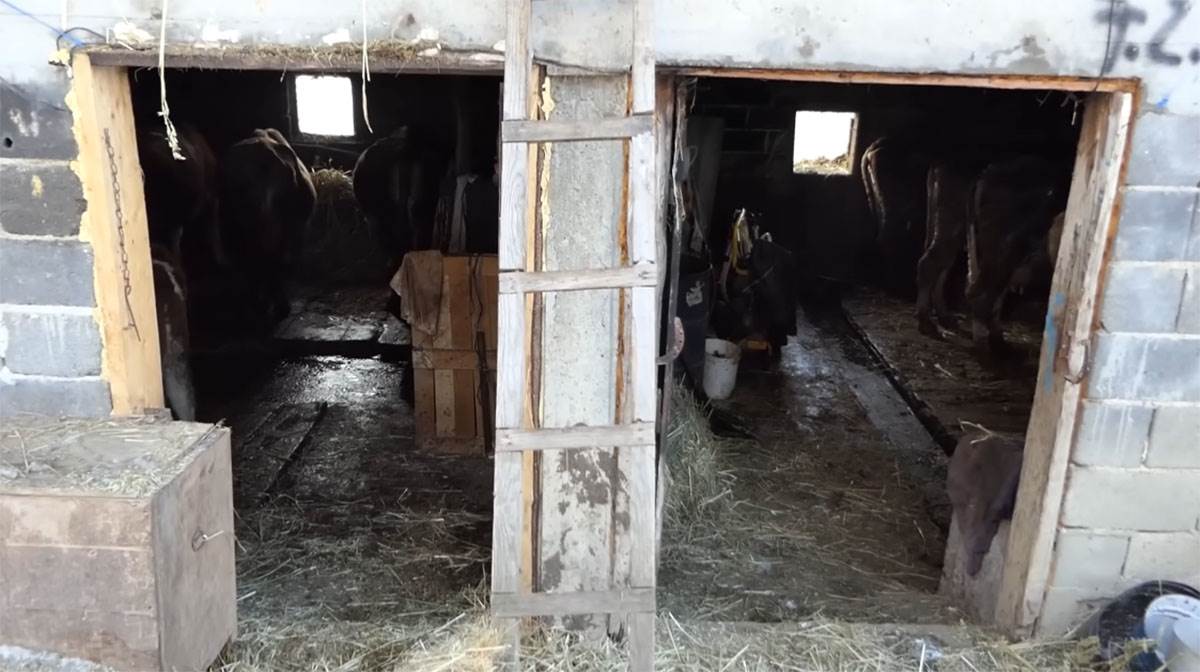 Samin Muslimović (14).jpg