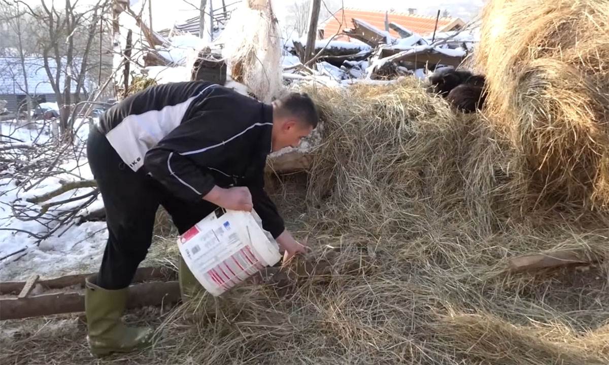 Samin Muslimović (18).jpg