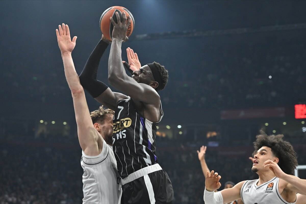 PARIZ - - Partizan  (12).JPG