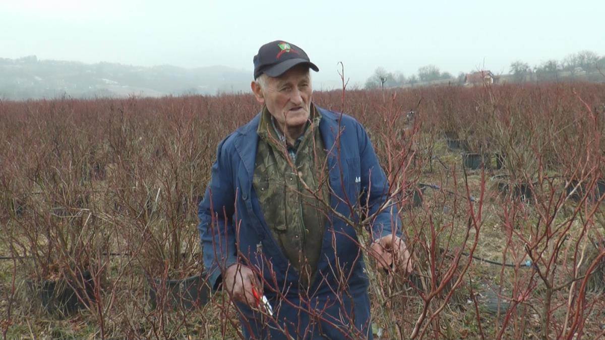 Milorad Murić  (2).jpg