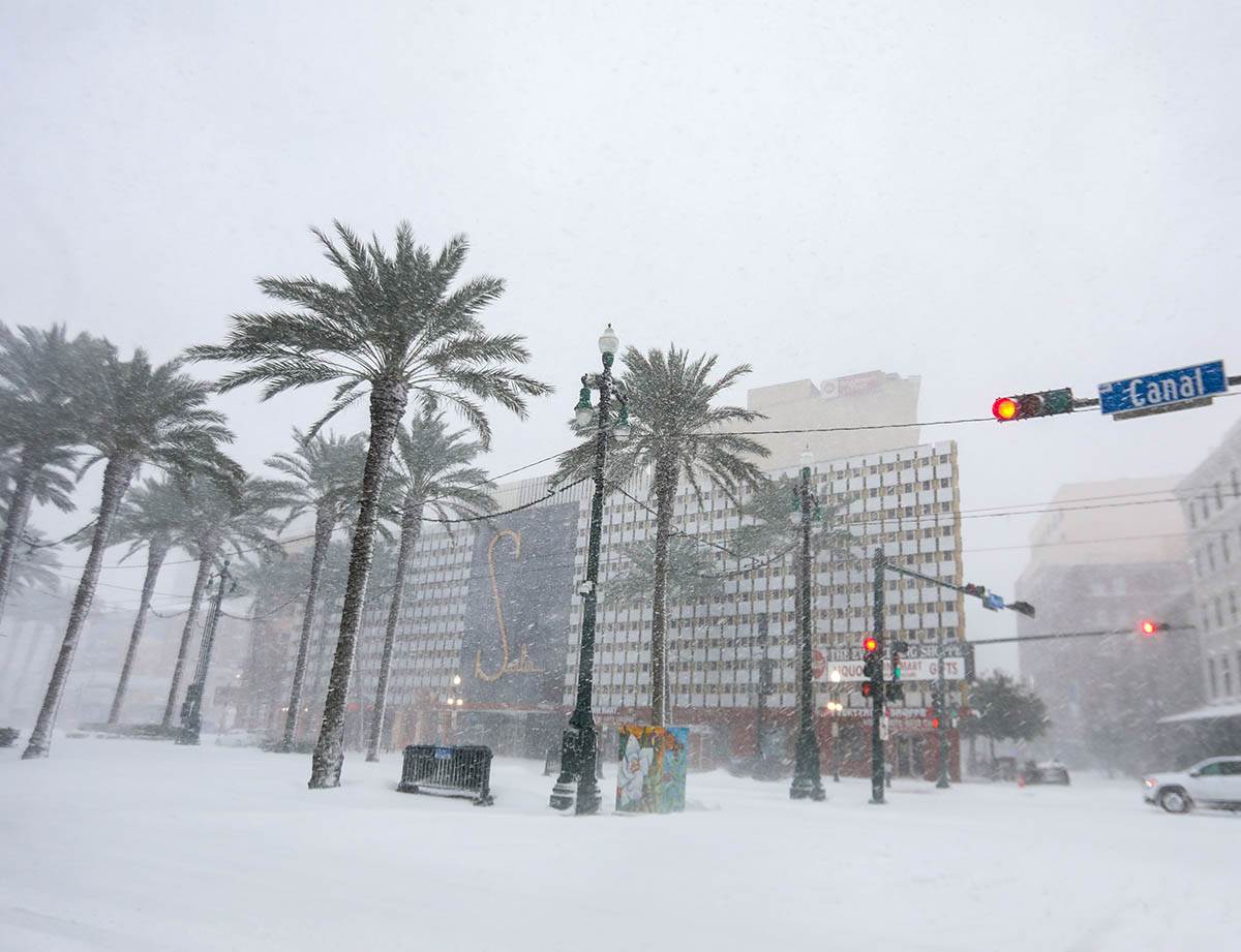 florida neverme (5).jpg