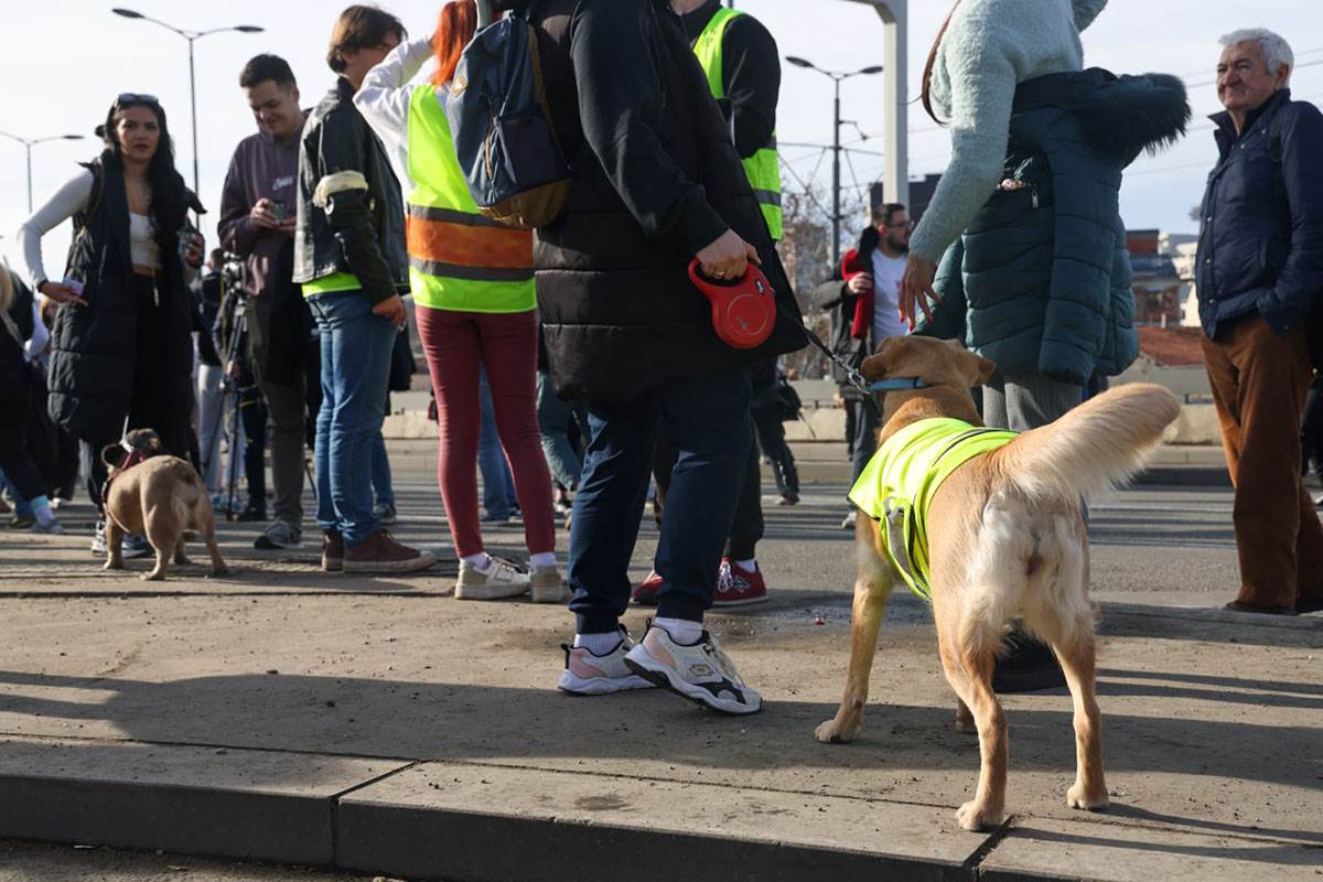 Studentska blokada Autokomande (25).jpg