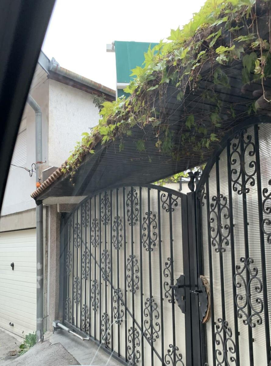 dino merlin kurir.bmp