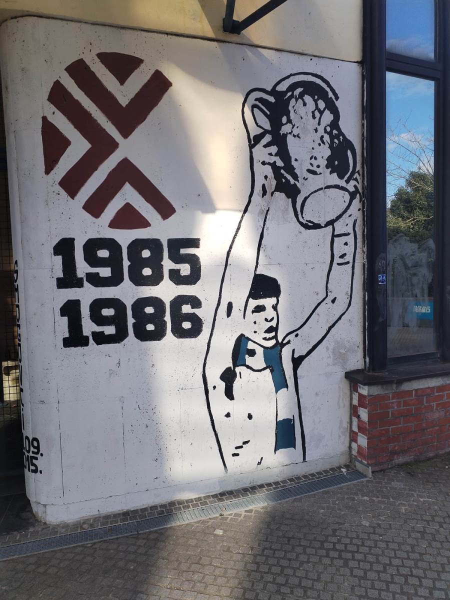 Dražen Petrović statua (6).jpg