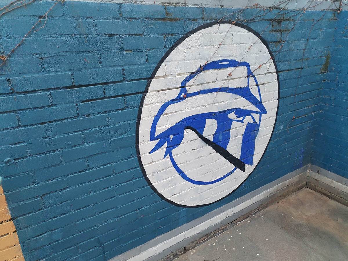 Dražen Petrović statua (9).jpg