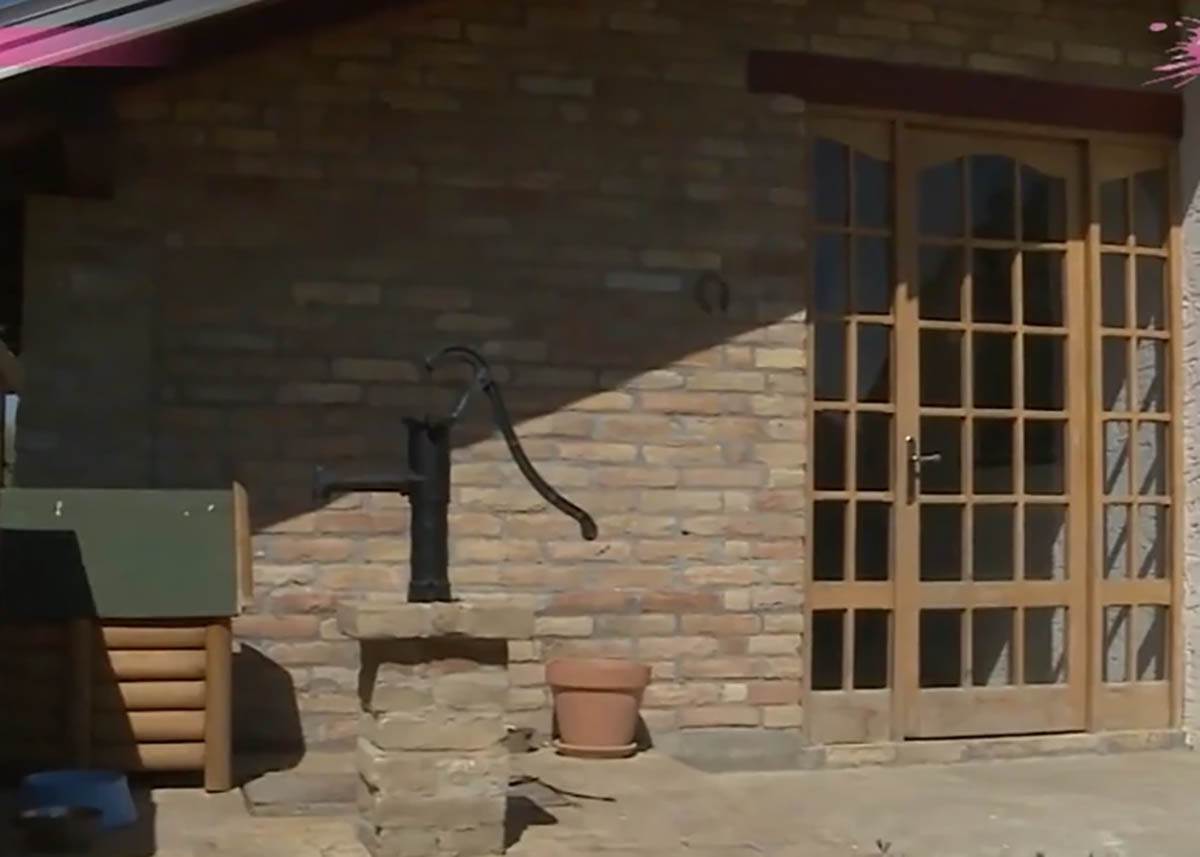 Političar Nenad Čanak  (2).jpg